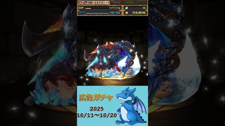 [パズドラ]  広告ガチャ　2025/10/11〜10/20