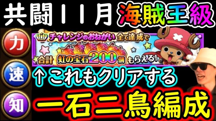 [トレクル]共闘冒険! チョッパーマンのチャレンジも同時にクリアする一石二鳥編成[速＆野心/力＆野心/知＆射撃/11月/海賊王級][OPTC]