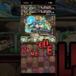 この魂に賭けて！！【パズドラ】