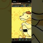 引き強くね！？#パズドラ