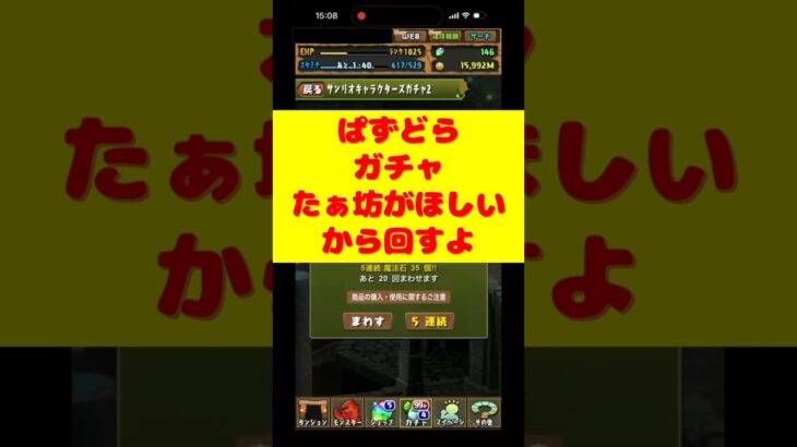 パズドラ！サンリオキャラクターズガチャ2☆ たぁ坊が欲しいから回していくよ#パズドラ #サンリオ #ガチャ