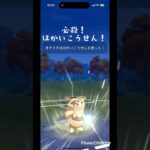 オオタチのはかいこうせん！ #ポケモンgo #gobattleleague #shorts