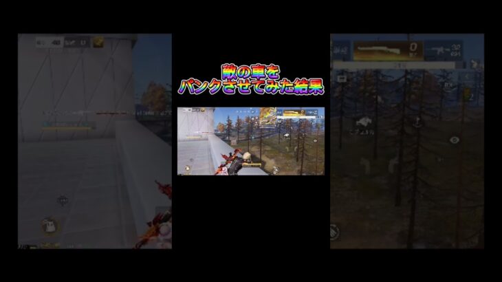 【荒野行動】倍で帰ってきました☹️#荒野行動 #荒野バババン8周年 #荒野の光