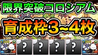 【パズドラ】パズル簡単！育成枠3~4枚！全敵対応！＋限界突破コロシアム！修練堂！超絶壊滅級！1周3~4分台！バッドばつ丸ポチャッコ編成で安定周回！【概要欄に詳細など記載】