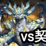 【契約】強化されたノヴァ使ってみた！#パズドラ
