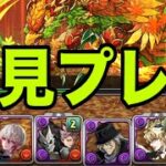 メイフィール降臨、どハマりしているソロモンで初見プレイ【パズドラ】