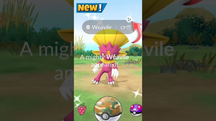 Finally I Got✨️Shiny Mighty Weavile in Pokemon GO