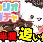 【最終日間近】コンプ目指してラストの追い込みした結果！！【パズドラ】【サンリオコラボ】