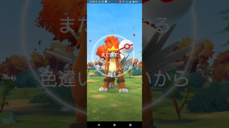 【ポケモンGO】久々の浪川一希名物コーナー色違い伝説レイドなのですが一気にボリュームアップ？