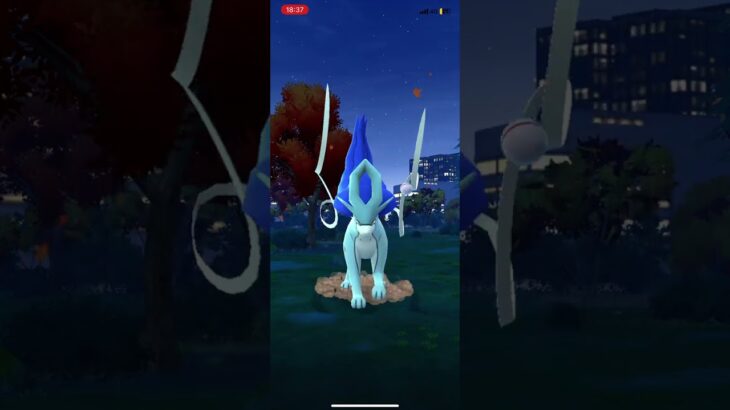 ポケモンGOでレイドしてスイクンの色違いゲット個体値2でした。 #ポケモンgoレイド