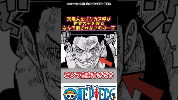 【ワンピース】実績以上にやらかしてるだろガープ#ワンピース