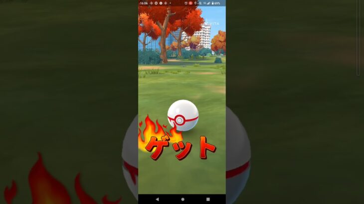 エンテイ、ケルディオゲット！＃ポケモンgo#エンテイ＃ケルディオ