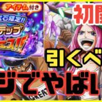 ［トレクル］5ステップスゴフェス初開催！引くべきなのか？マジでやばいぞ！