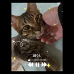 LUNA Tube｜メメントモリなルナ🍏Mrs. GREEN LUNA