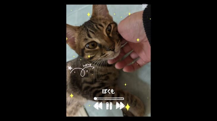 LUNA Tube｜メメントモリなルナ🍏Mrs. GREEN LUNA