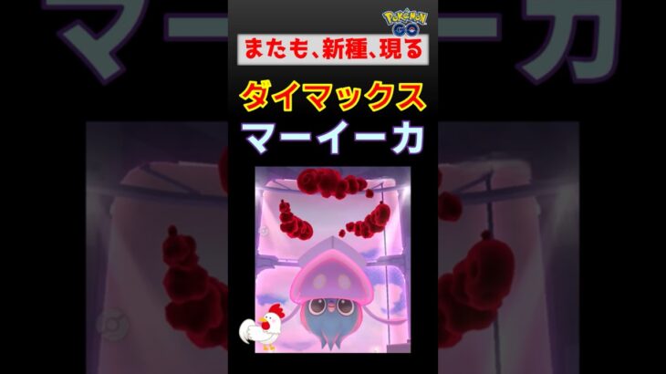 新種ゲット！【ダイマックスマーイーカ】 #ポケモンgo #ポケモン #pokemongo #ダイマックス #マーイーカ
