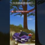 【荒野行動】ハコ乗りで戦う精鋭達にバックミュージックを付けてみた。ワイルドシリーズ。