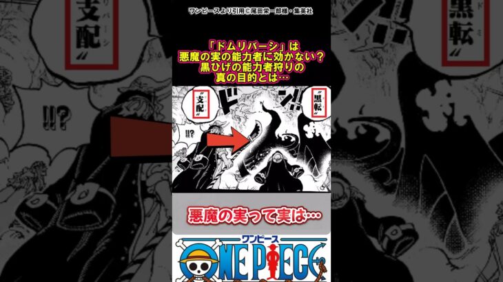 【ワンピース】「黒転支配」って能力者に効かない？#ワンピース