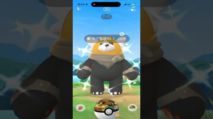 【ポケモンGO】ワイルドエリア長崎でキテルグマ色違い狙ってたら優勝したんだけど一つ足りない…。 #ポケモン #ポケgo #ポケモンgo #ゲーム実況 #pokemon #pogo #shorts