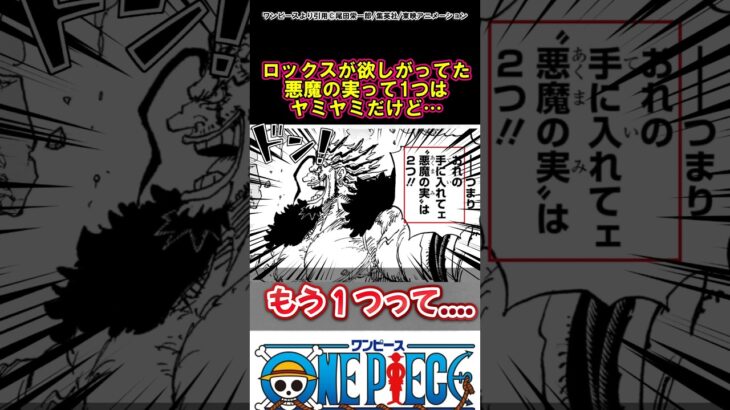 【ワンピース】もう一つってなんだろう？#ワンピース
