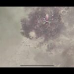 メメントモリ 39-28~ 39-46