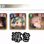 【メメントモリ】パラデア、アレクサンドラ、エイル導き！無微の評価ですのよね【メメモリ】