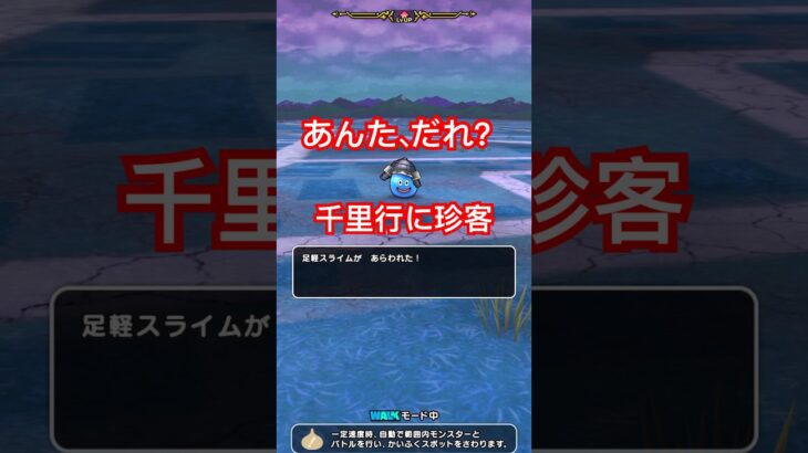 【ドラクエウォーク】千里行に足軽スライム乱入は運営様のやさしさかもしれません。