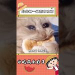 分分鐘一部後宮小說 #原神