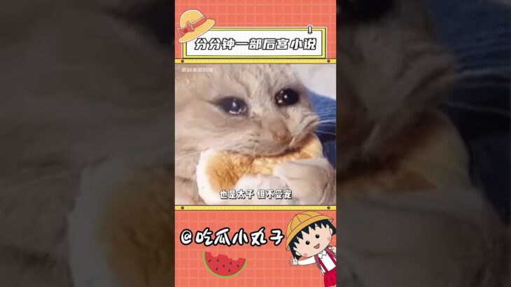 分分鐘一部後宮小說 #原神