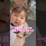 ０歳ウォーカーの毎日ドラクエウォーク #dqウォーク #ドラクエウォーク #ドラゴンクエスト #宝の地図