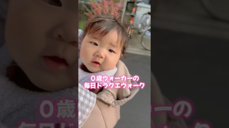 ０歳ウォーカーの毎日ドラクエウォーク #dqウォーク #ドラクエウォーク #ドラゴンクエスト #宝の地図