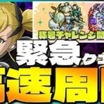 【緊急クエスト】ドットチャレンジをキコルで高速周回！奇石乱獲！【パズドラ】　　#shorts #short  　#パズドラ