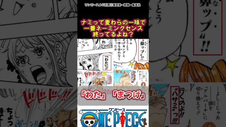 【ワンピース】ナミってネーミングセンス終わってるよね#ワンピース