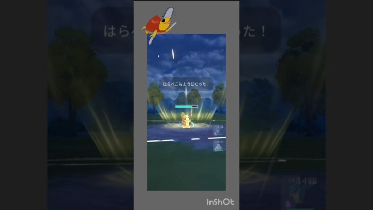 初手でモルペコ使っていく！#ポケモンgo #ポケモン #gbl #ジャングルカップ