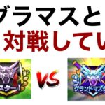 【なかまモンスター】さっそくスパーリングしたいんよ【ドラクエウォーク】