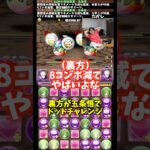 【誰やねん】長谷川エイジを全く覚えない裏方 #たかし #パズドラ