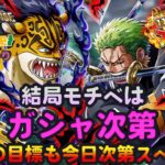 【トレクル】ガシャだ!祭りだ!11.5周年Anniv.スゴフェスだ!!トレマの目標は結果次第スペシャル!!虹色Planet のワンピーストレジャークルーズしっかり生配信#860【OPTC】