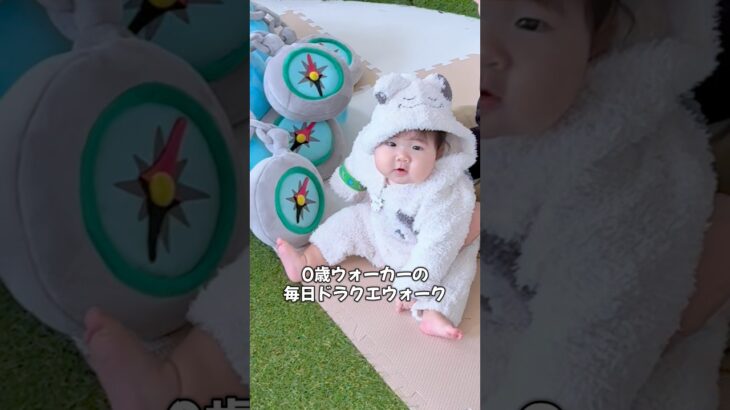 ０歳ウォーカーの毎日ドラクエウォークin仙台