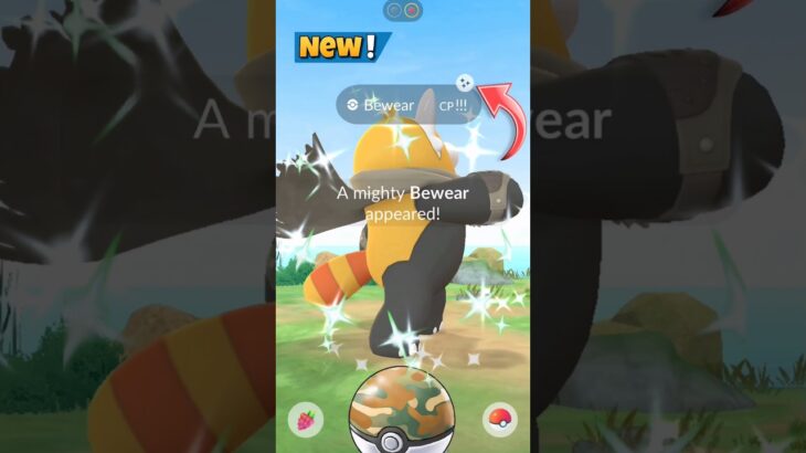 OMG✨️Shiny Mighty Bewear in Wild… Pokemon GO