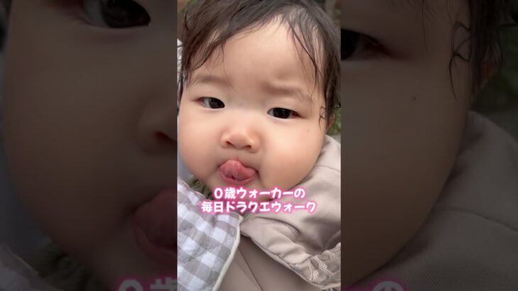 ０歳ウォーカーの毎日ドラクエウォーク #dqウォーク #ドラクエウォーク #赤ちゃんのいる生活 #ドラゴンクエスト