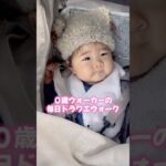 ０歳ウォーカーの毎日ドラクエウォーク #dqウォーク #ドラクエウォーク #赤ちゃんのいる生活 #ドラゴンクエスト