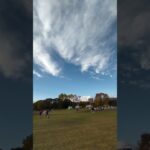 ドラクエウォークが行われている七北田公園の芝生広場 #ドラクエ #スライム