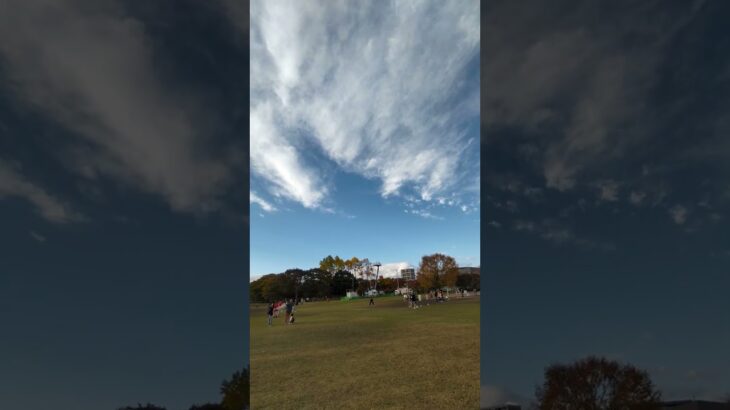 ドラクエウォークが行われている七北田公園の芝生広場 #ドラクエ #スライム