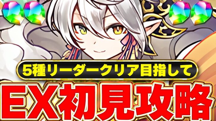 【パズドラ】11月EXラッシュを初見で挑戦！！５種リーダーのクリア目指して！！＃パズドラ