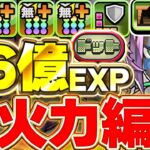 【ボス２パン】これヤバい！！推しフェスで確保する価値ありすぎる！！ソロモンのドットチャレンジ爆速周回編成が強すぎる！！【金星攻略】【パズドラ実況】＃パズドラ