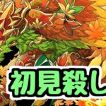 【生放送】新ダンジョンメイフィール降臨がヤバいとの噂【パズドラ】