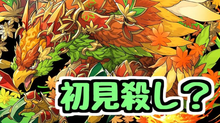 【生放送】新ダンジョンメイフィール降臨がヤバいとの噂【パズドラ】