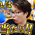 【ドラクエウォークガチャ】管理人セラフィ装備ふくびき・肉球印の大しゃもじ 夫婦でマイレージ投入！