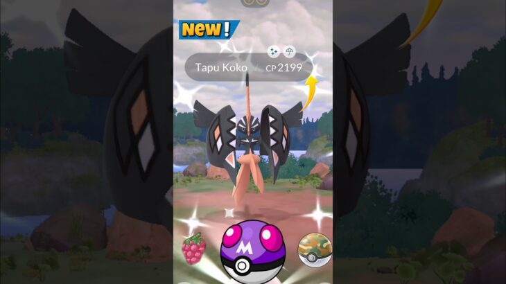 Finally I Got✨️Shiny Tapu KoKo Raid in Pokemon Go