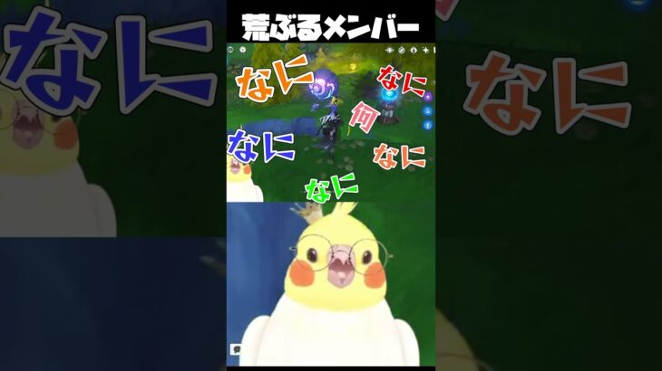 【原神】フリーナのサロンメンバー可愛すぎる🐥👑🌱　 #genshinimpact #原神 #切り抜き #vtuber #オカメインコ